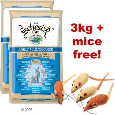 Cat Toys - 3kg Schesir Dry Cat Food + Faux Leather Mice Free - Maintenance With Chicken