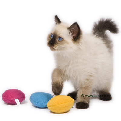 Catnip Balls - 3-Pack