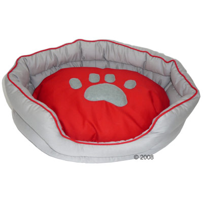 Pictures Of Puppies And Cats. dogs puppies and cats.