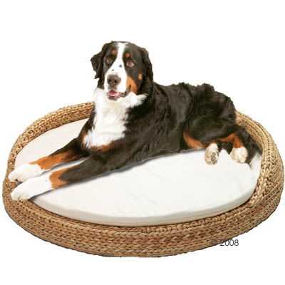 Sofa Beds - Banana Leaf Sofa Round - +�-� 108 X 22cm