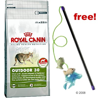 Cooking Items on Food Gifts   10kg Royal Canin Cat Food   Cat Pole Egypt Fish Free