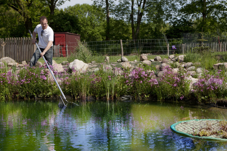 Creating a Garden Pond