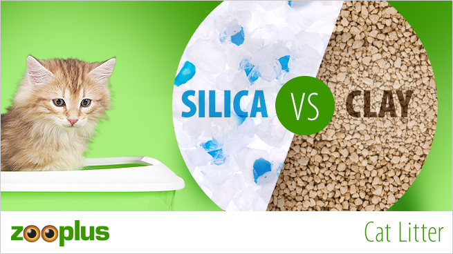 Cat Litter - Clumping or Silica