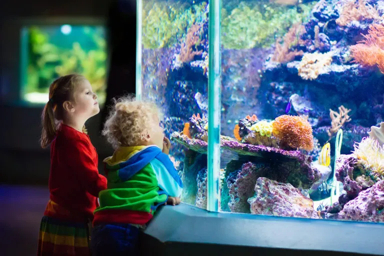 Kids watching fish in tropical aquarium