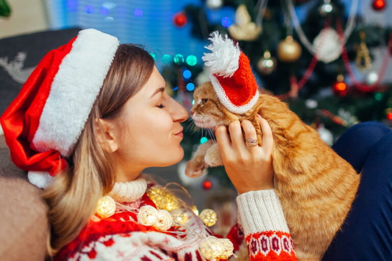 Christmas gifts for cats