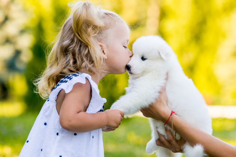 little girl kissing her puppy