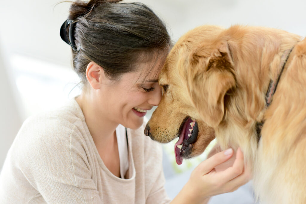 Kissing a dog