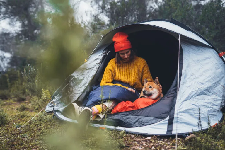 tourist traveler hugging relaxation red shiba inu in camp tent on background foggy forest, smile hiker woman with puppy dog in mist nature trip, friendship love concept, girl resting dog together frau mit hund camping