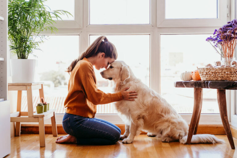 dog walks under quarantine