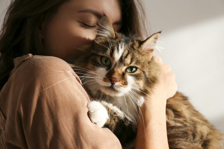 adopting a cat during coronavirus lockdown