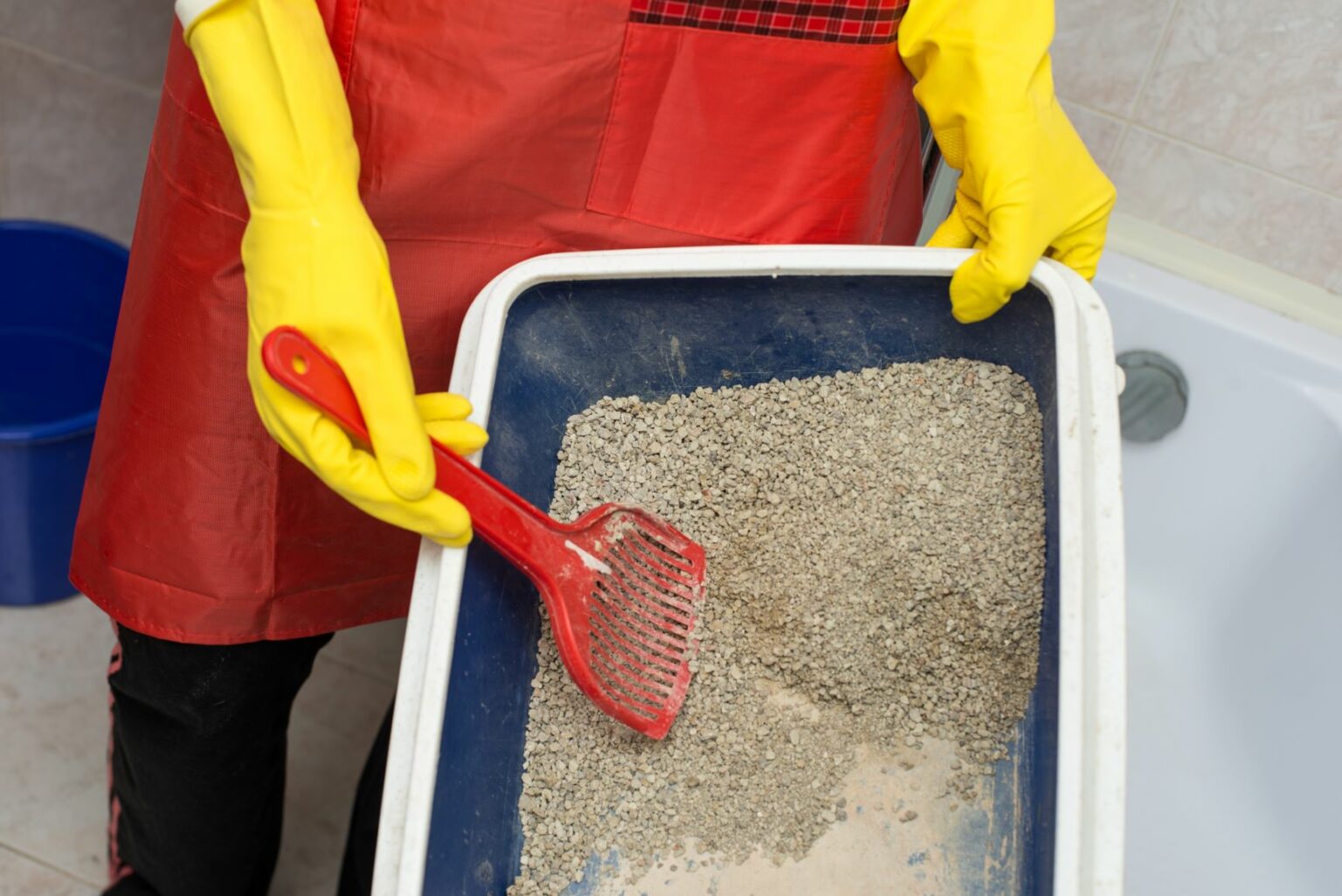 cleaning cat litter