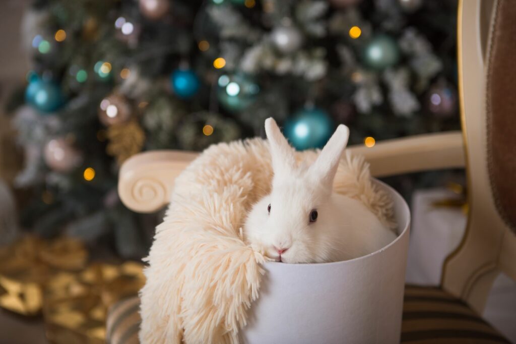 Bunny in cosy bed in front of christmas tree