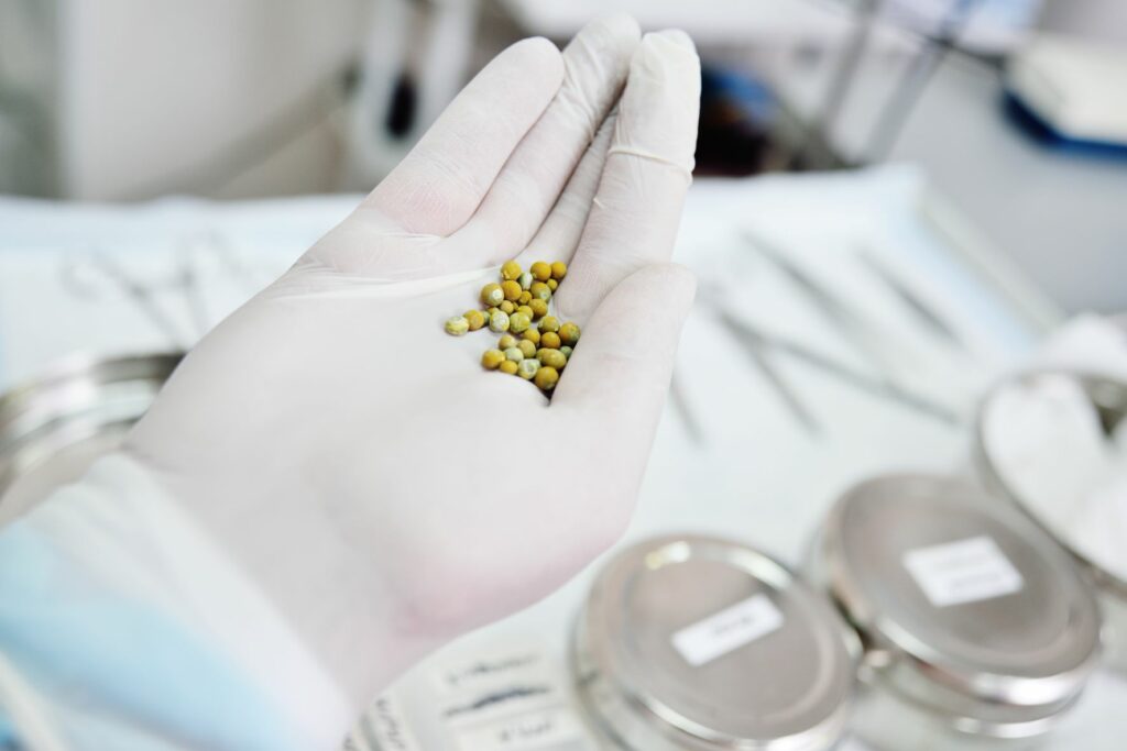 Vet holding a dog’s bladder stones Vet holding a dog's bladder stones