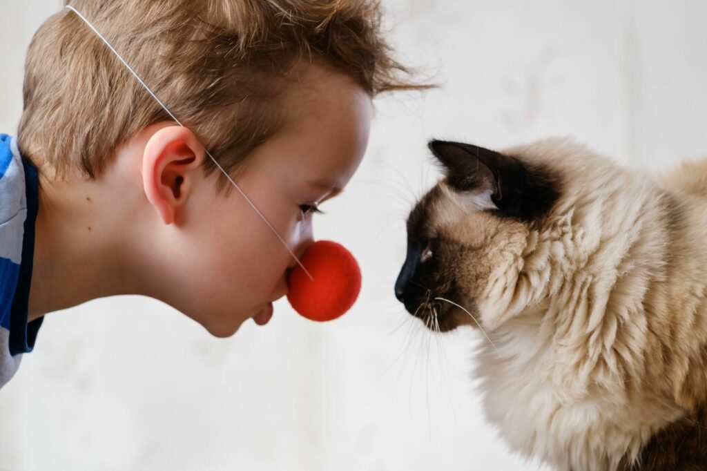 Child and cat looking at each other