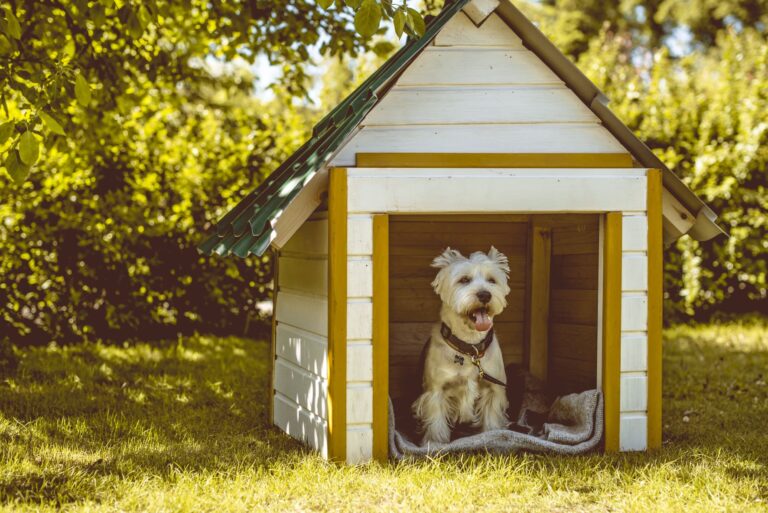 Dog kennel