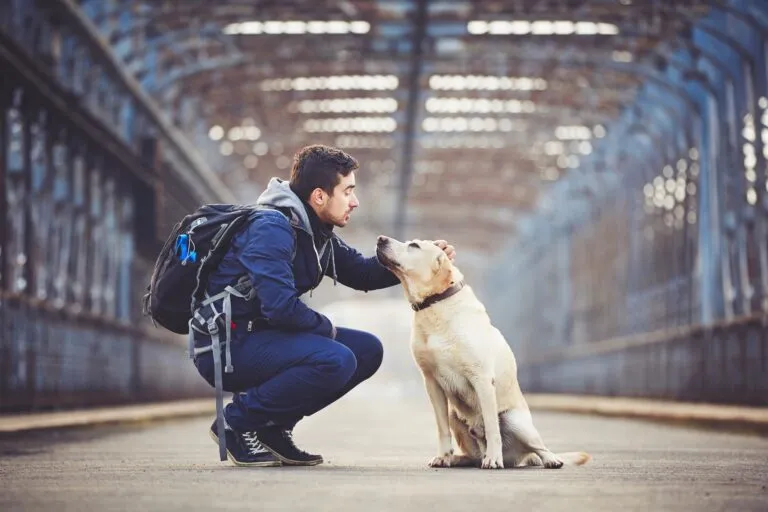 man with a dog at a train station man with a dog at a train station