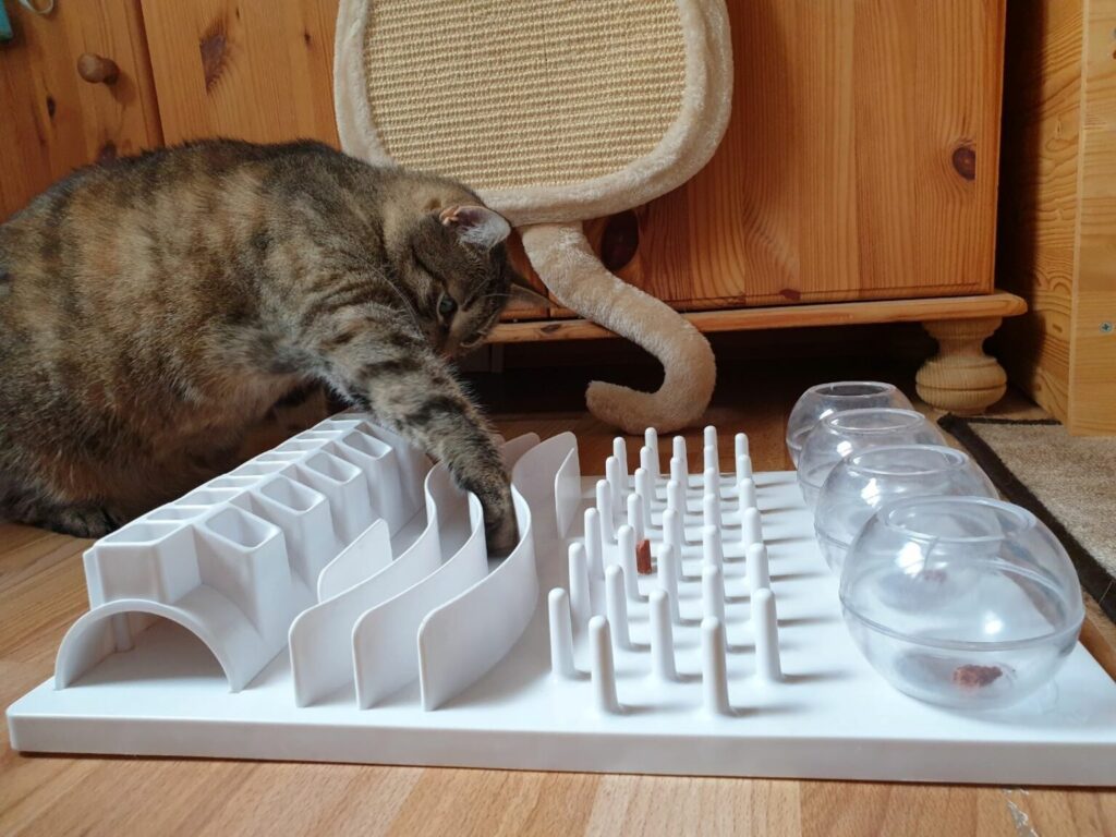 cat playing with an interactive cat toy